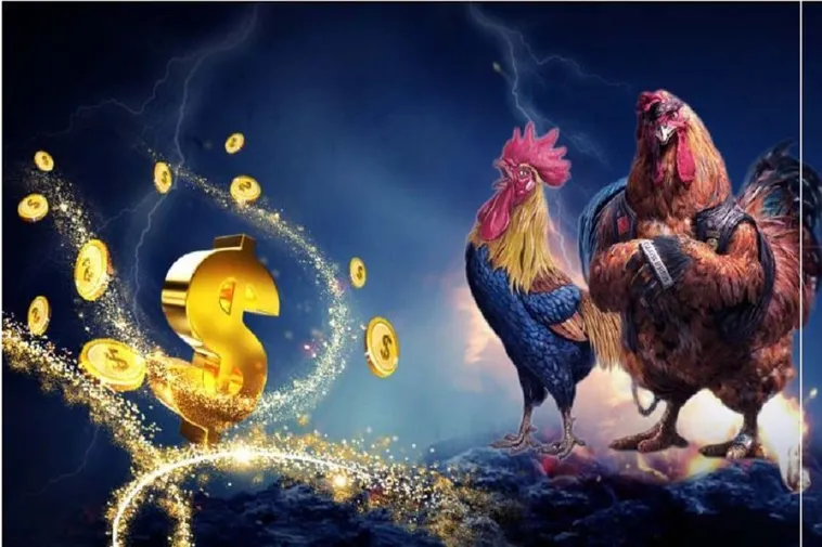 Bí Quyết Tham Gia Đá Gà WS168 Tại EV88 Dành Cho Người Chơi