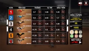 Cách Chơi Game Nhanh Đua Chó Tại EV88 Để Tăng Tỷ Lệ Thắng Lớn